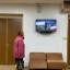 Познавательная программа «Краски нашего города» 2 Познавательная программа «Краски нашего города» 2