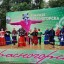 День городского округа Красногорск 0