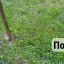 Субботник 1 Субботник 1